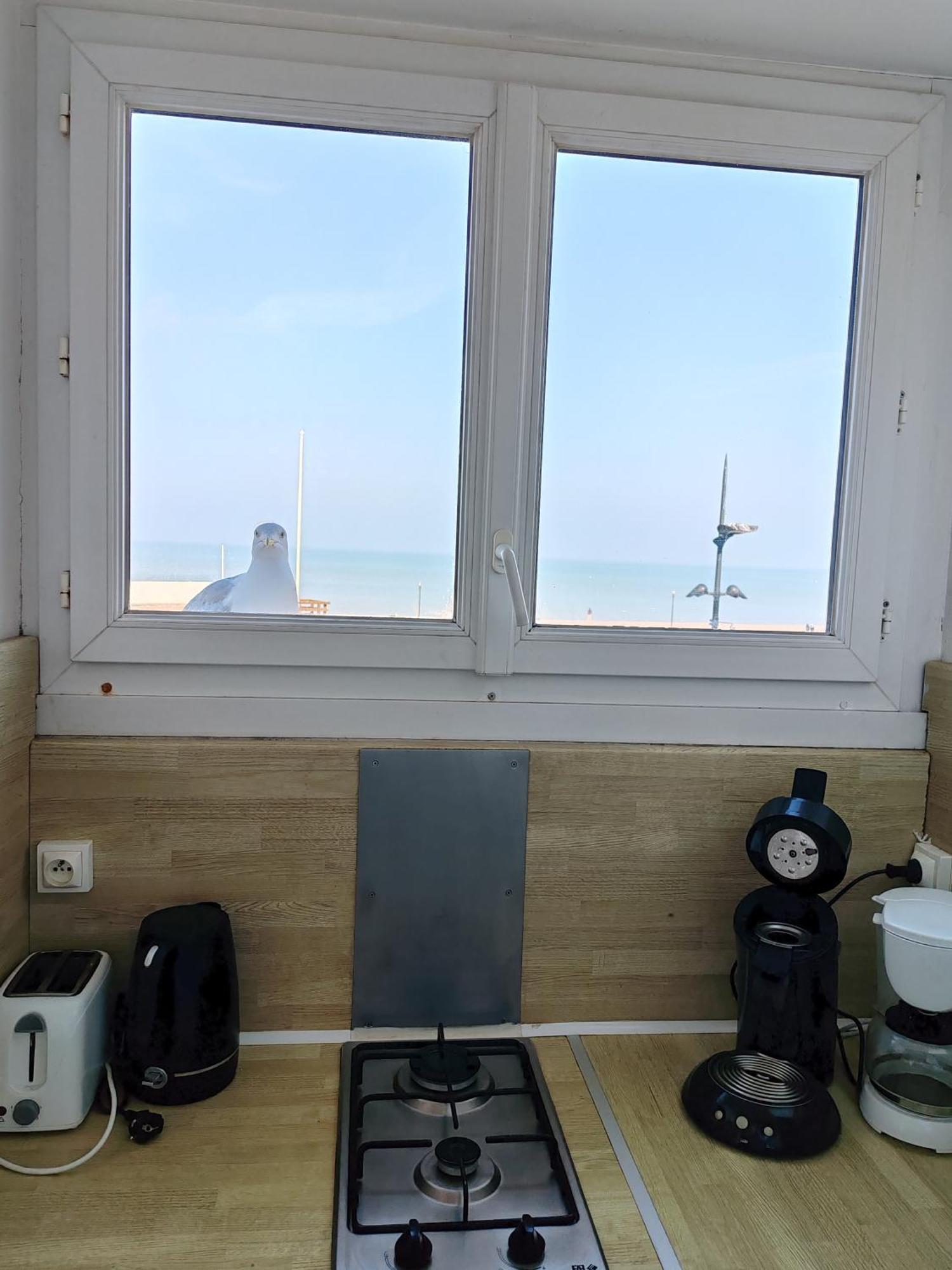 Ferienwohnung Goeland Le Tréport Zimmer foto